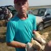 птица