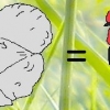 птица