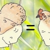 птица