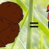 птица