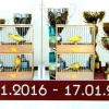 Разгледай галерията
