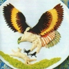 птица