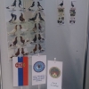 птица
