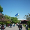 птица