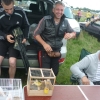 птица