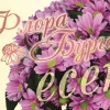 Разгледай галерията
