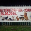 птица