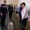 птица