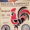 Разгледай галерията