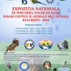 птица