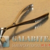 птица