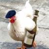 птица