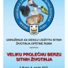 Разгледай галерията