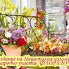 Разгледай галерията