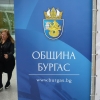 птица