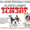 птица