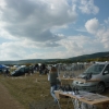 птица