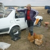 птица