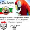 Разгледай галерията