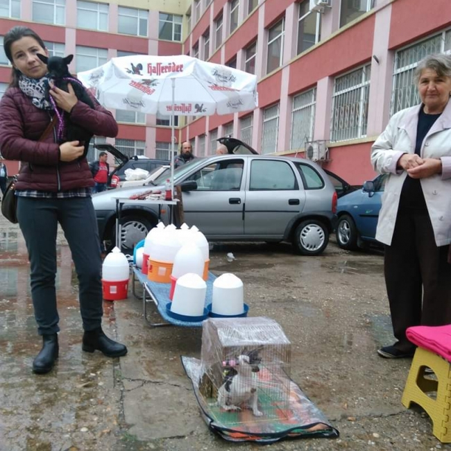 Разгледай галерията