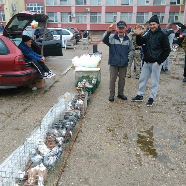 птица