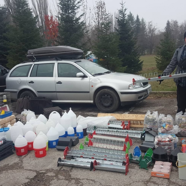 птица