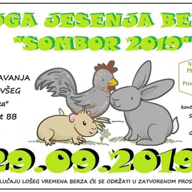 Разгледай галерията