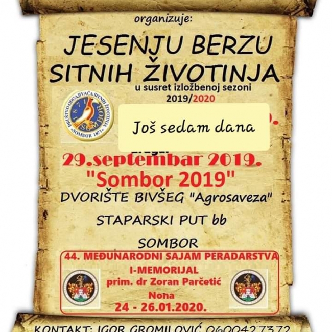 птица