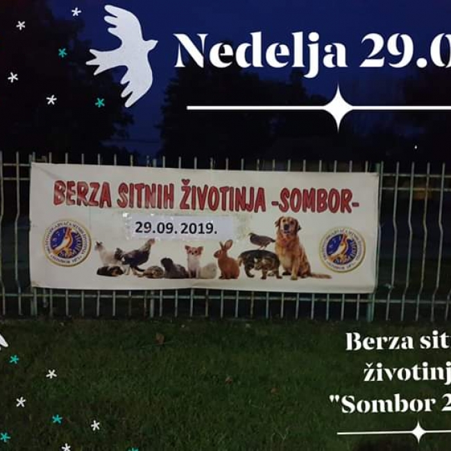 птица