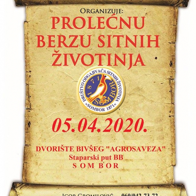 птица