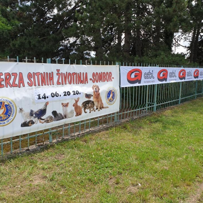 птица