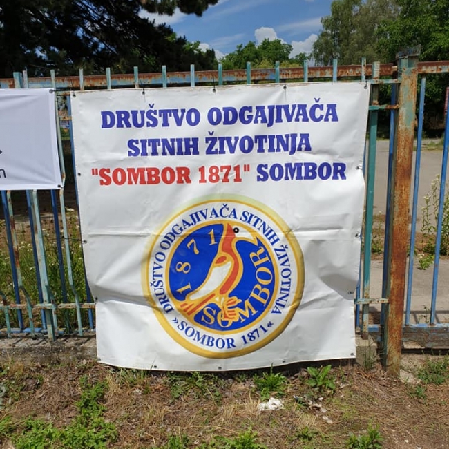 птица