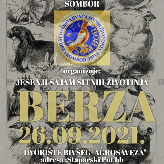 Разгледай галерията