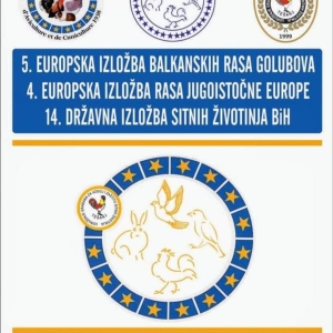 птица