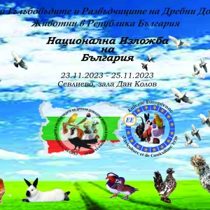 птица