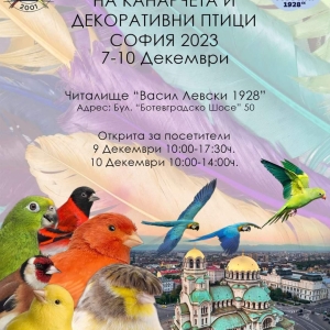 Разгледай галерията