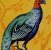птица