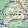 птица