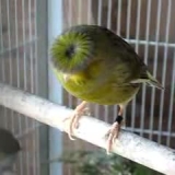 Снимка