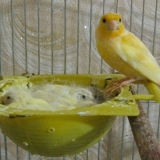 Снимка