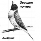 Снимка