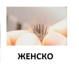 Снимка