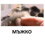 Снимка