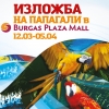 Снимка на новина