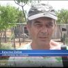 Снимка на новина