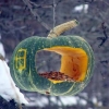 Снимка на новина