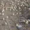 Снимка на новина
