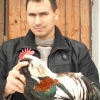 Снимка на новина