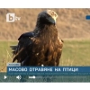 Снимка на новина